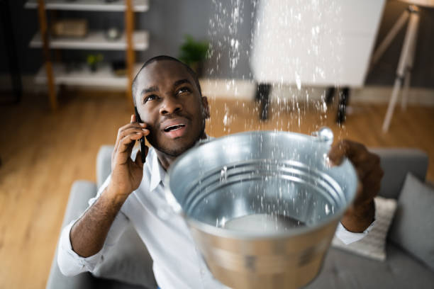 Best Sewage cleanup and water damage restoration  in Black River, NY