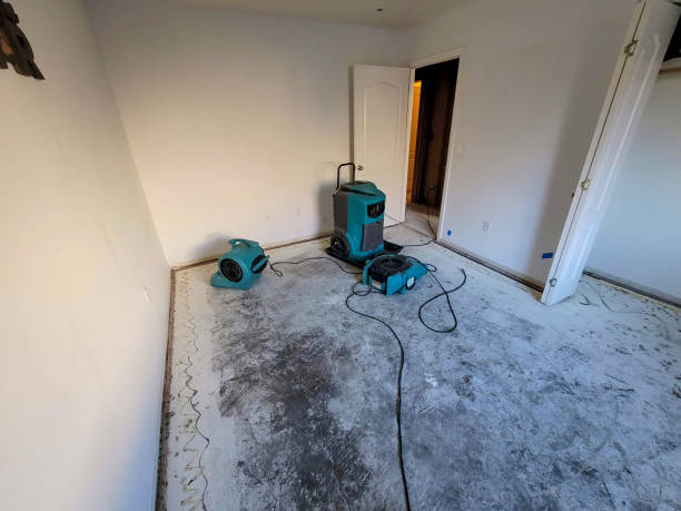 Best Flooded house restoration  in Black River, NY