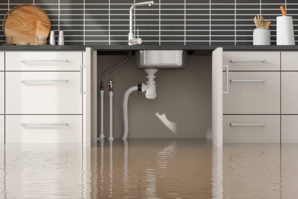 Best Professional water damage repair  in Black River, NY