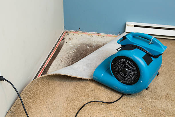 Best 24-hour water damage restoration  in Black River, NY
